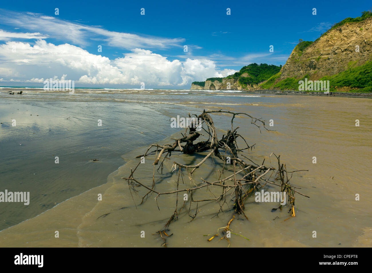 Tropical beach on the Pacific coast of Ecuador during a very severe wet season with brown floodwater in foreground Stock Photo