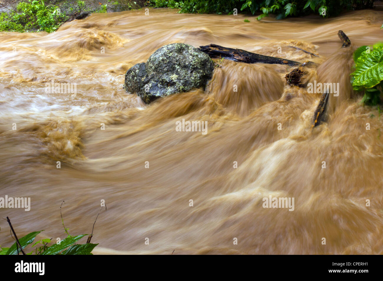 Mud water pouring down jungle hi-res stock photography and images - Alamy