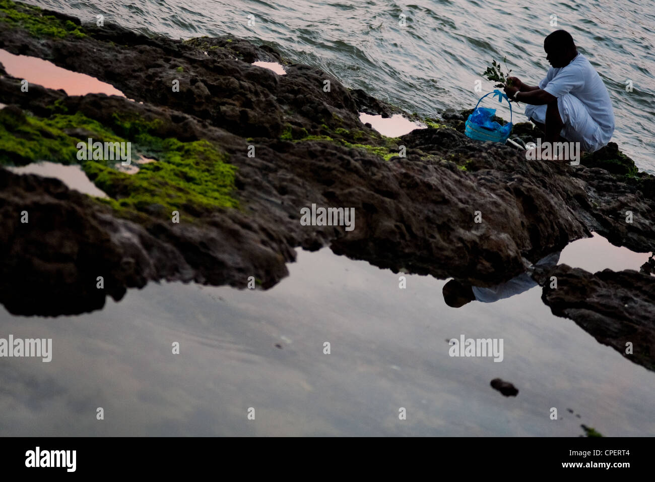 Throws flowers hires stock photography and images Alamy