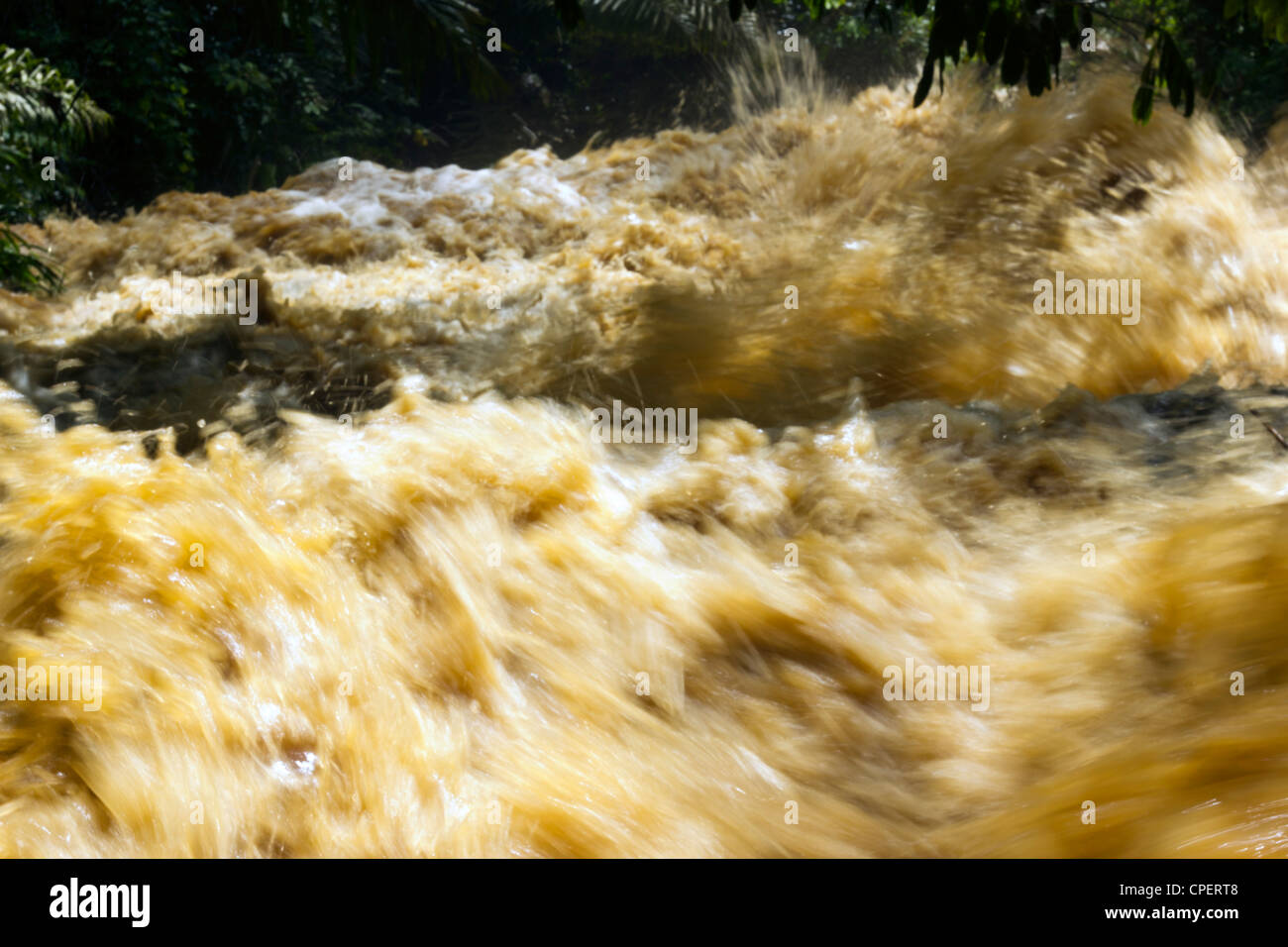 Mud water pouring down jungle hi-res stock photography and images - Alamy