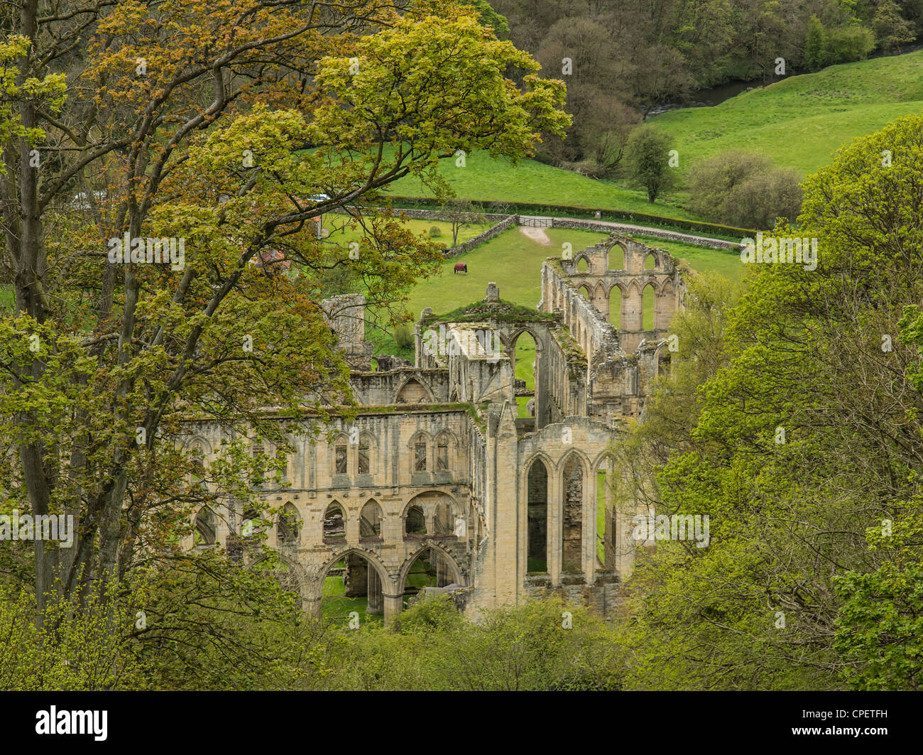 Rievaulx Abbey, Yorkshire, England - mediaeval monastic abbey famous for its setting. Stock Photo