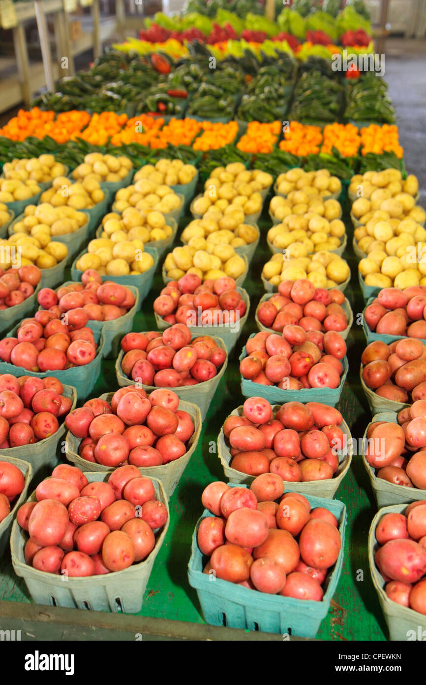 Florida Dover,Brandon Farms Market,locally grown produce,retail products,display case sale