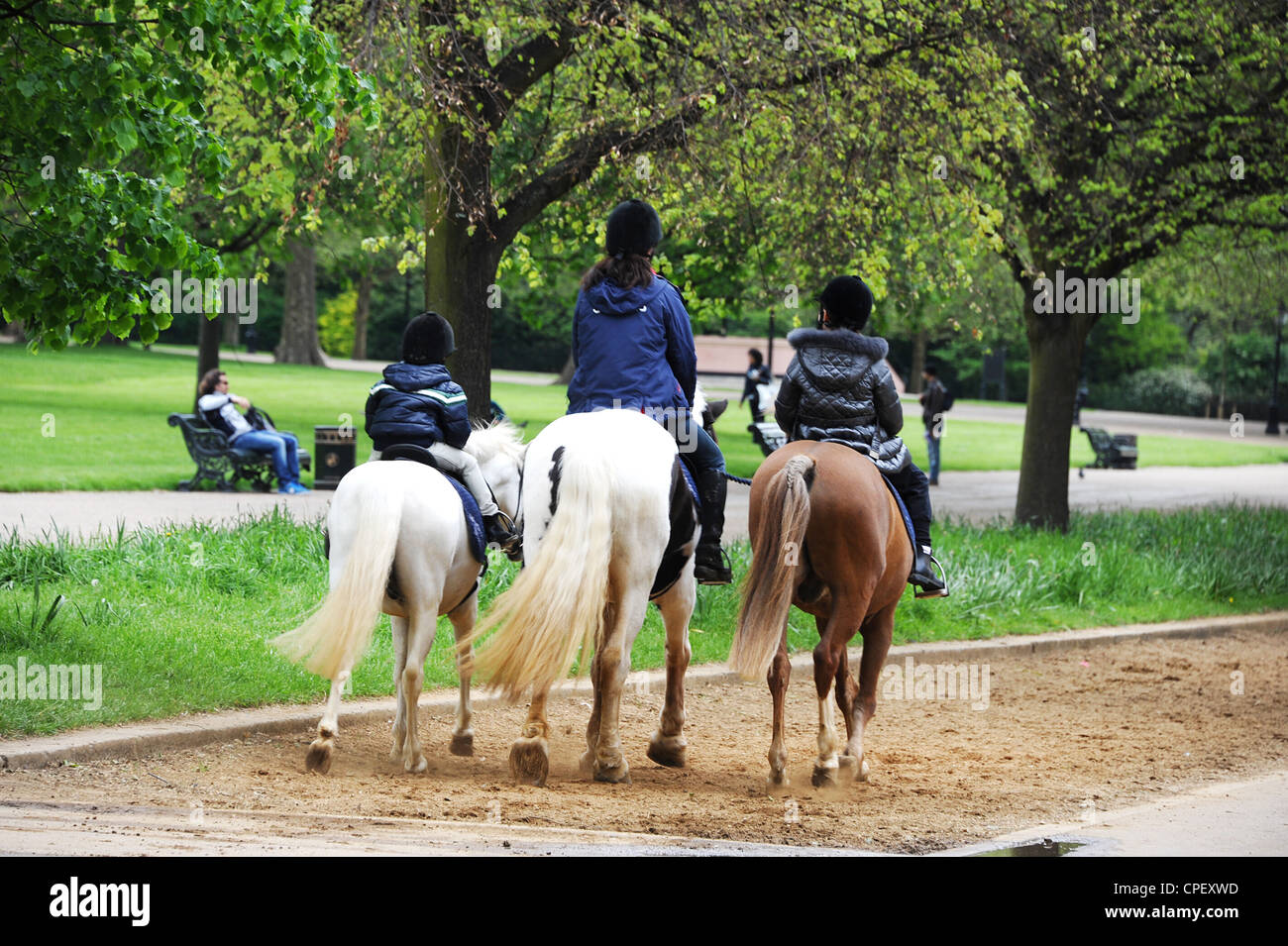 Horse riding in Rotten Row, Hyde Park, London Stock Photo Alamy