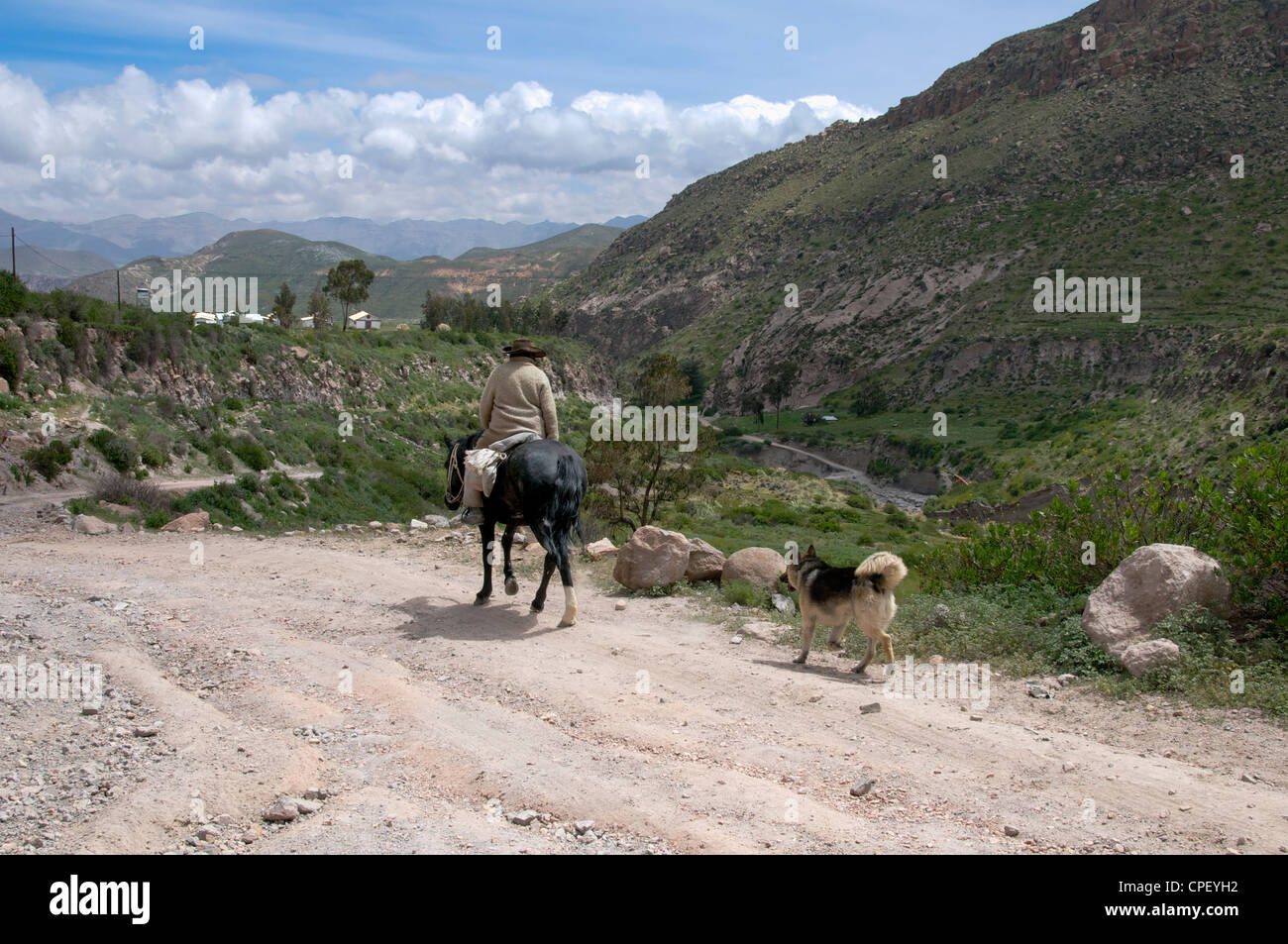 Man riding horse with alsatian dog Putre Northern Chile Stock Photo