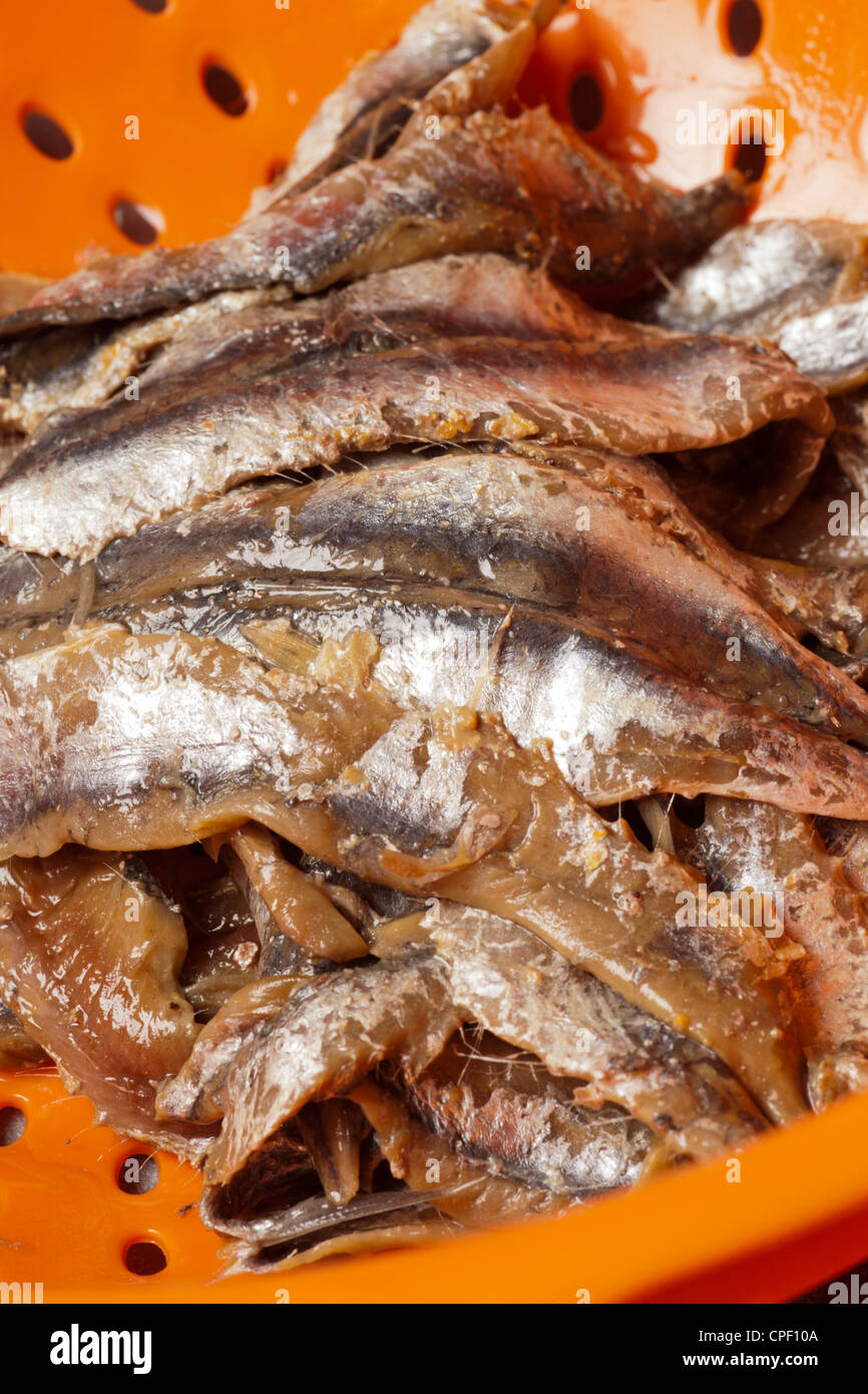 salted anchovies Stock Photo Alamy