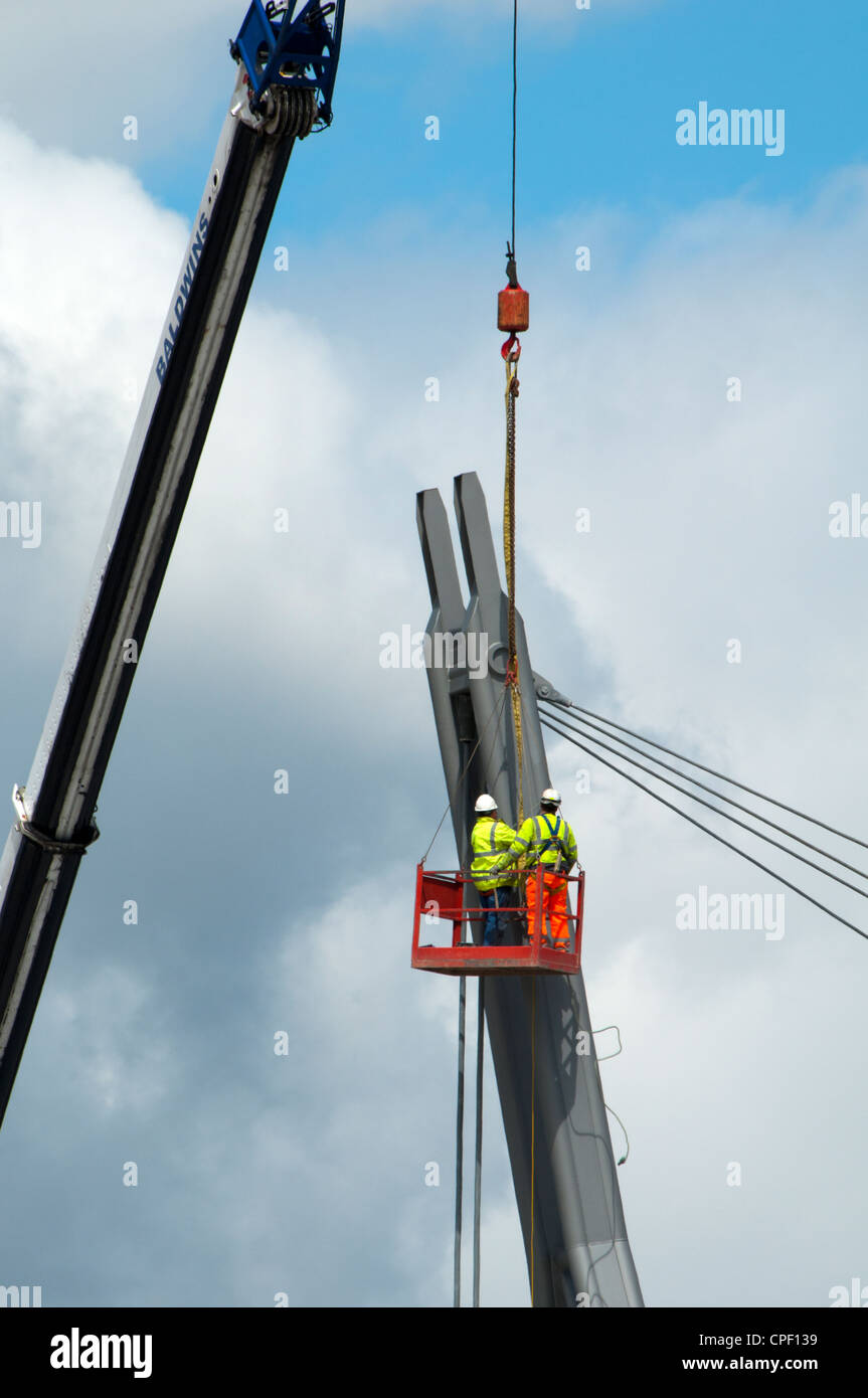 Buy > man to man basket > in stock