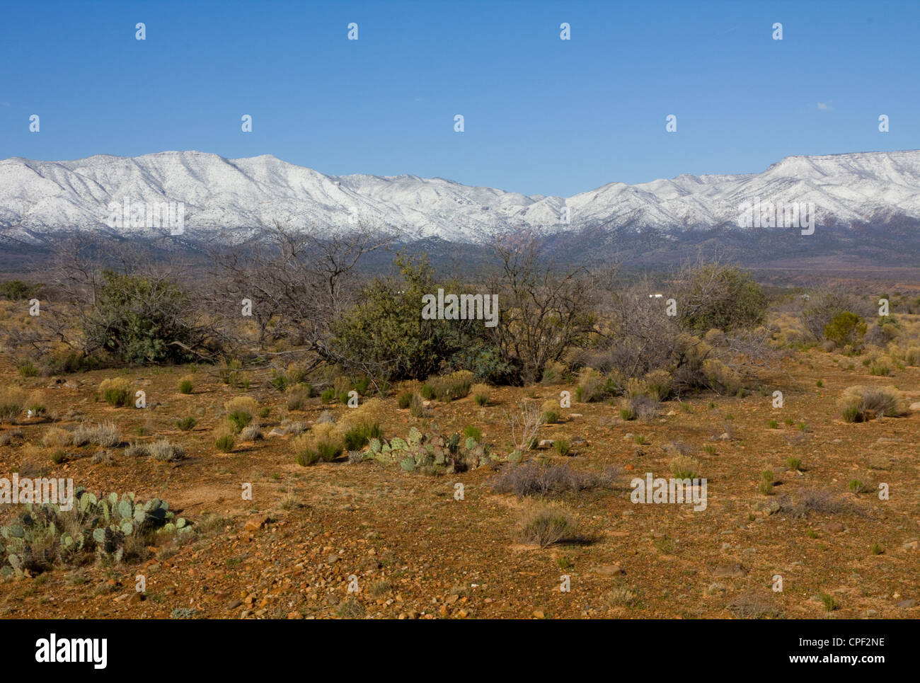 Mingus Mountains, Cottonwood, AZ, USA Stock Photo Alamy