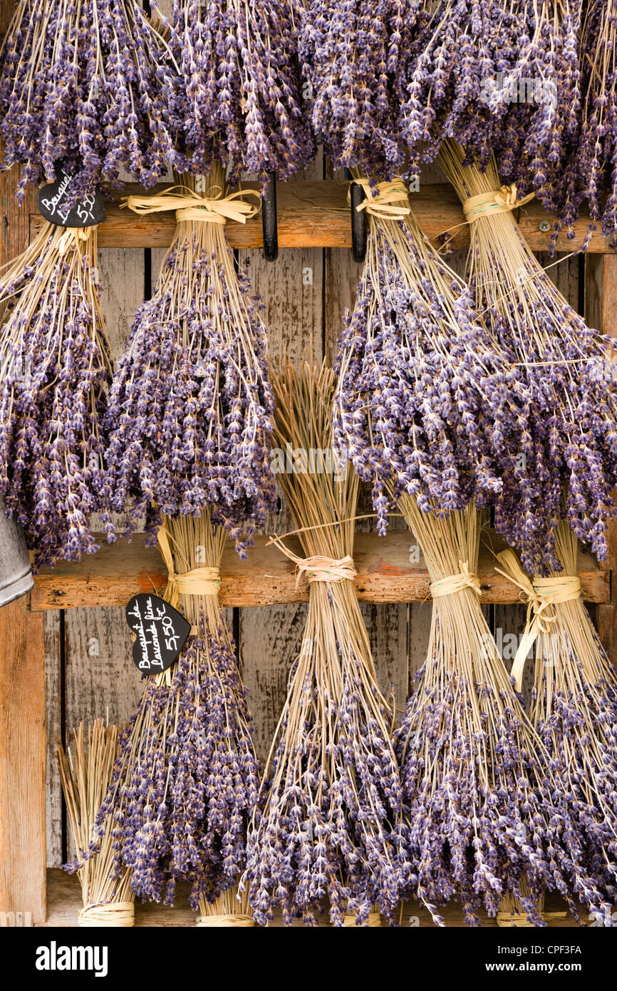 Hanging lavender hi-res stock photography and images - Alamy