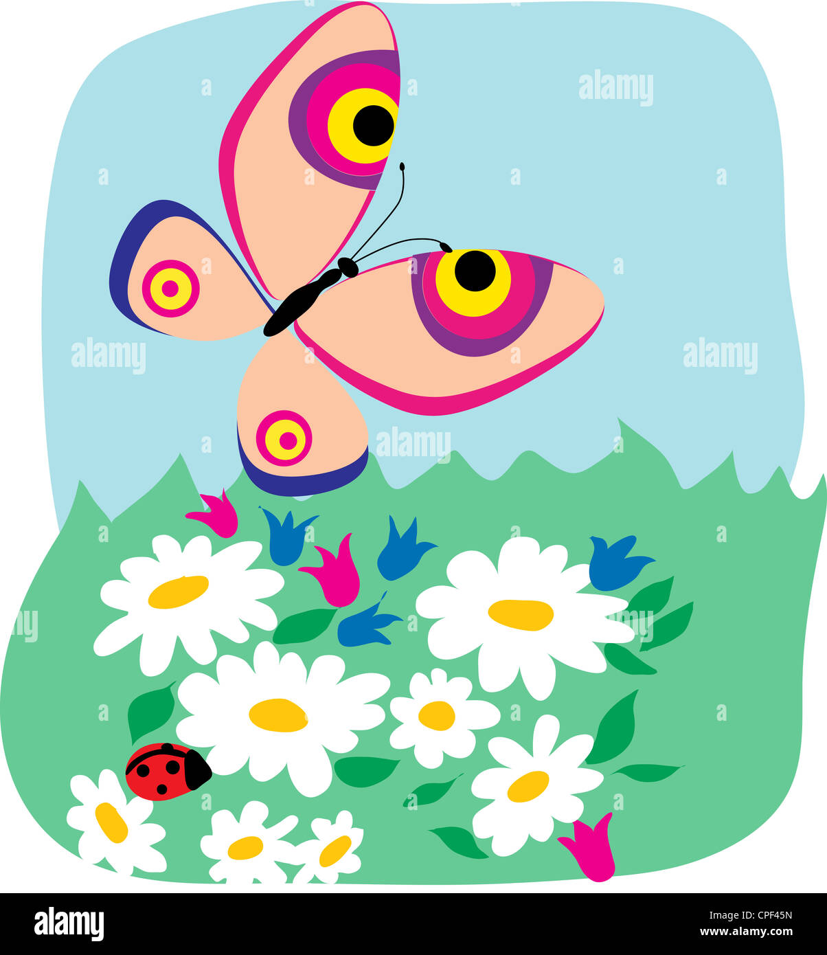 Drawing butterfly ladybug hi-res stock photography and images - Alamy