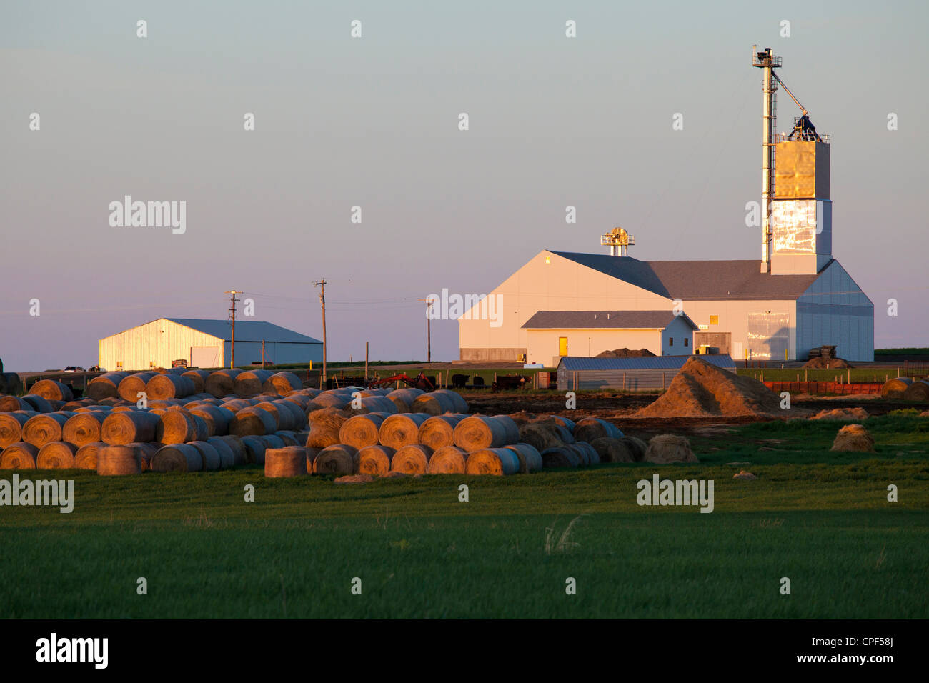 Fertilizer barn, hay bales, farmland, Winner, South Dakota Stock Photo