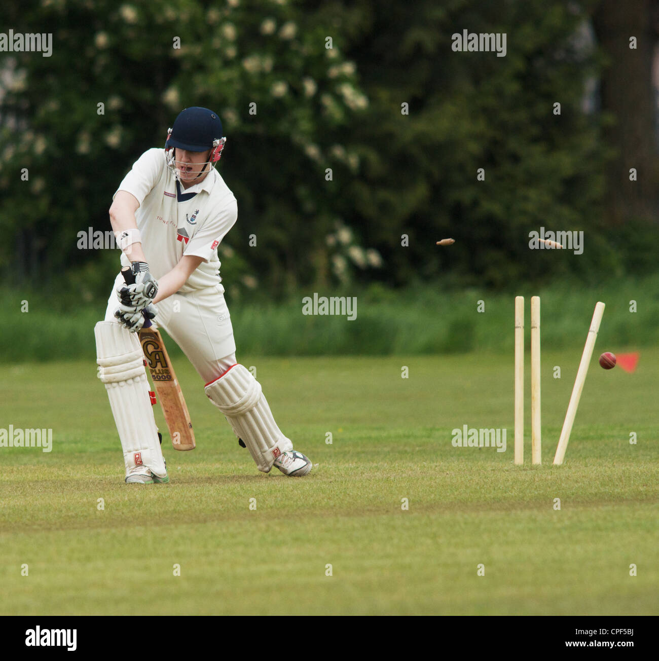 batsman in local cricket match is bowled out Stock Photo Alamy