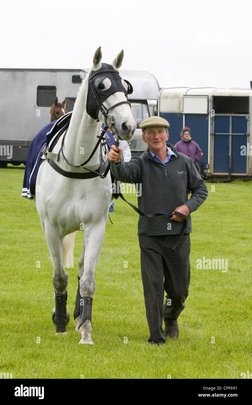 Race Horse heading down to the collecting ring for the start of a steeplechase Stock Photo