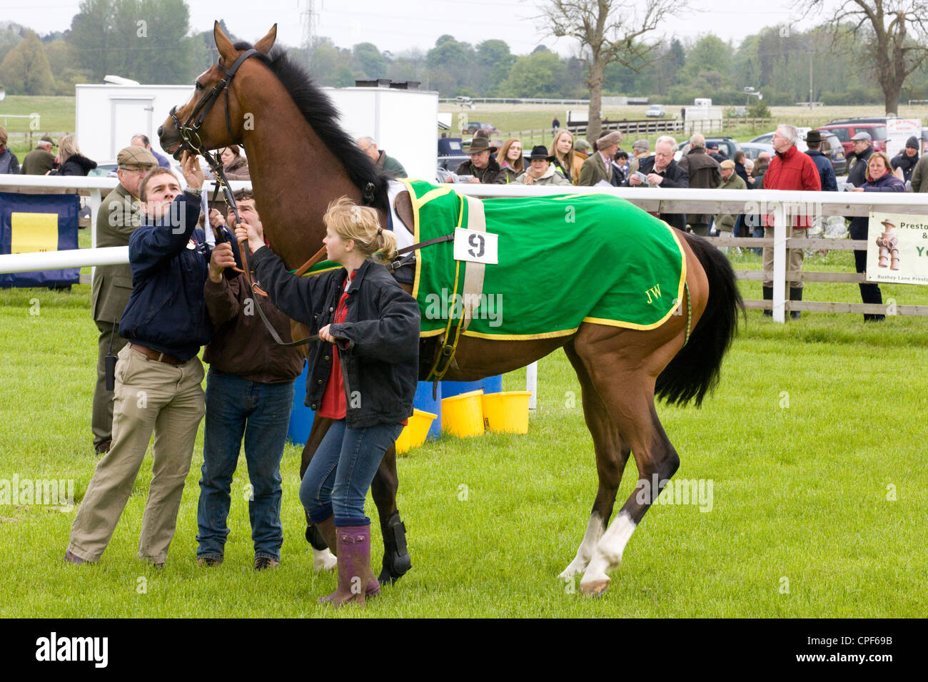 Horse box checks hires stock photography and images Alamy