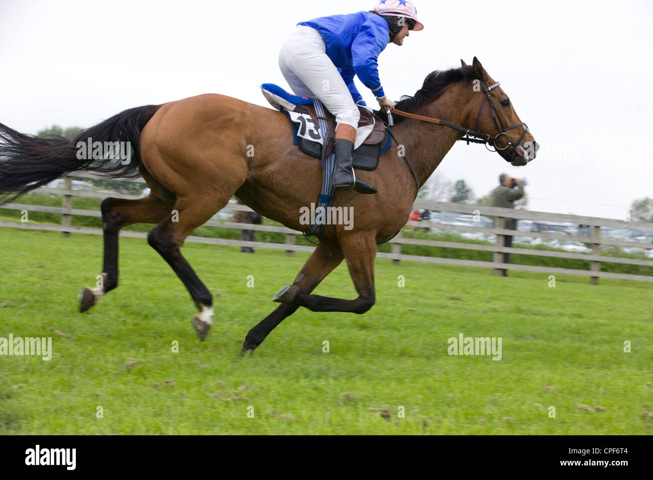Race Horse Equus Ferus Caballus At A Steeplechase Horse Event Racing With A Tongue Tie Stock Photo Alamy