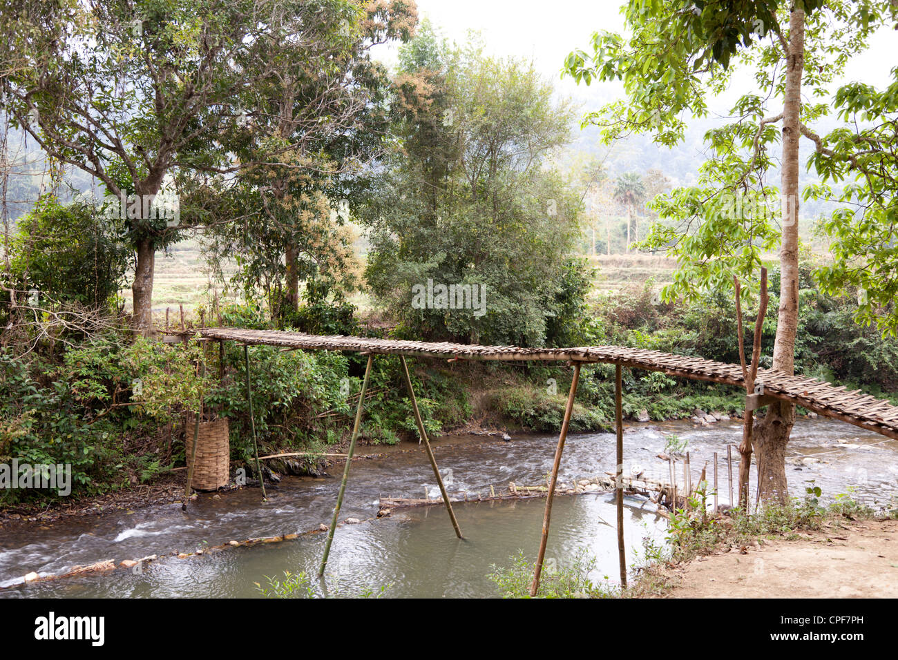 A makeshift footbridge above brook in the vicinity of Muang Ngoi Neua (Laos).  Passerelle de fortune au-dessus d'un ruisseau. Stock Photo