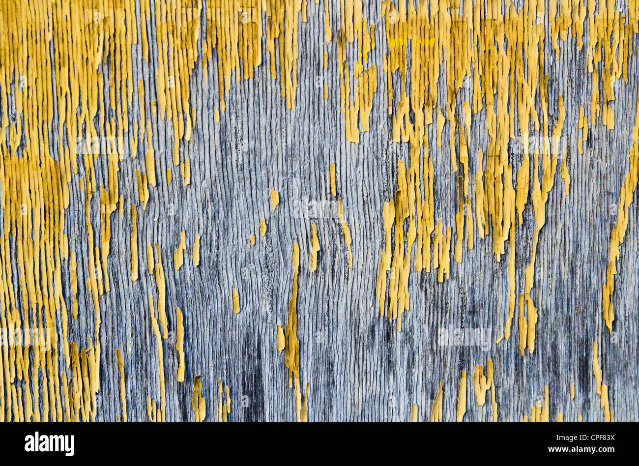 Untreated wood texture hi-res stock photography and images - Alamy