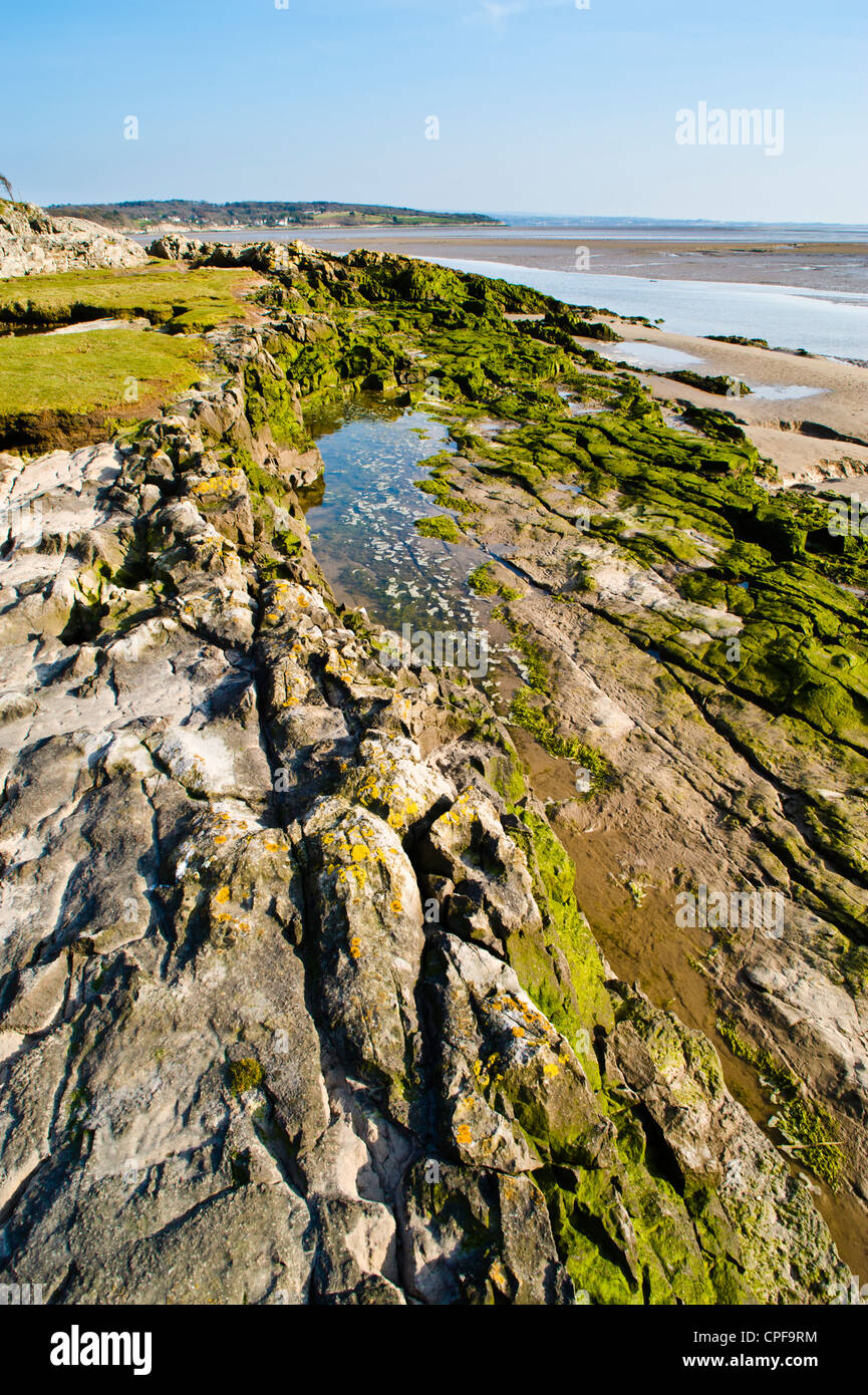 Rocky shoreline near Silverdale in the Arnside-Silverdale Area of Outstanding Natural Beauty beside Morecambe Bay England Stock Photo