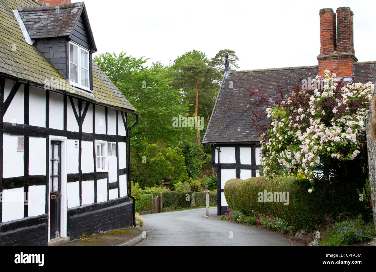 Houses, Berriew Stock Photo Alamy