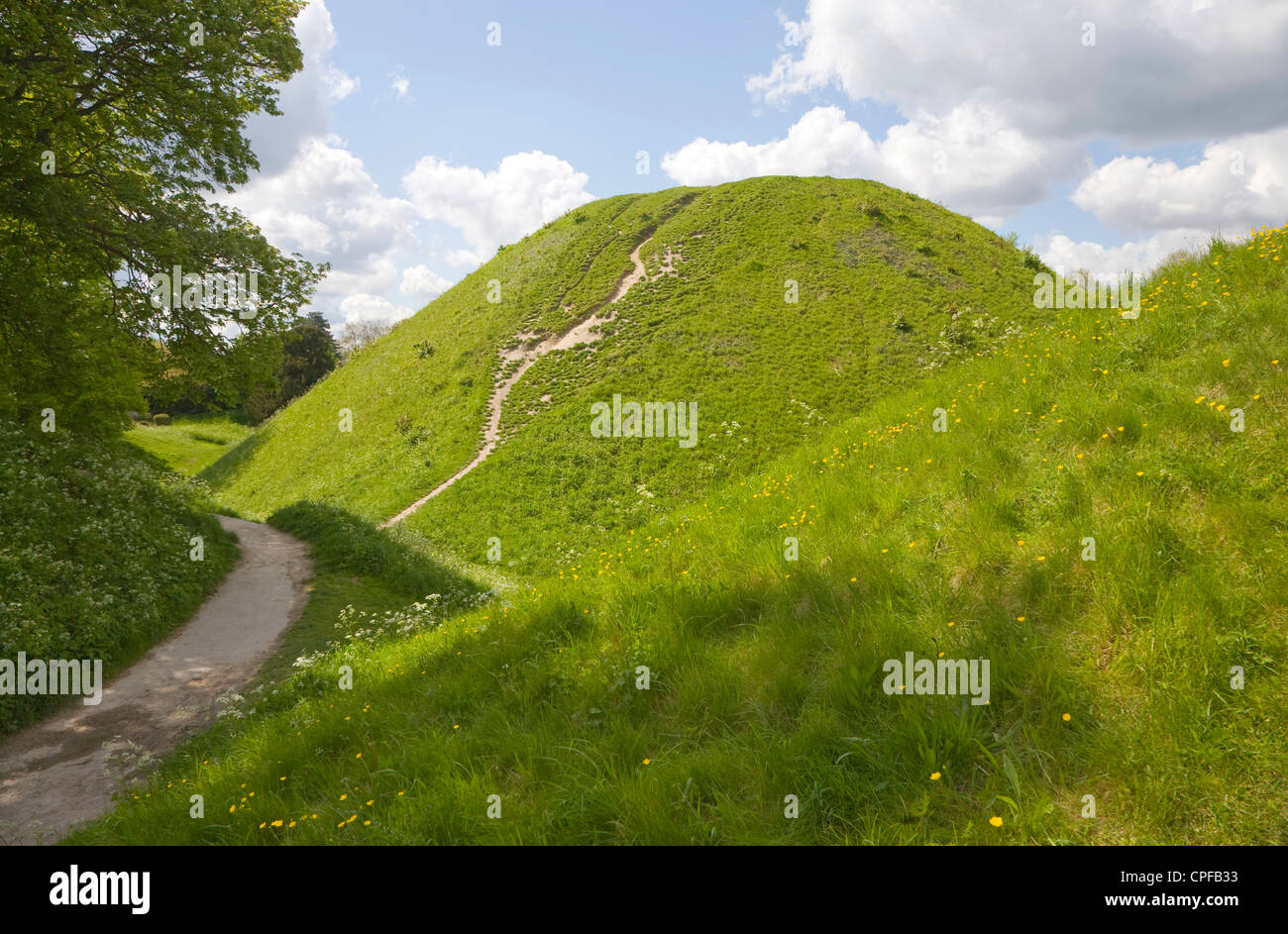 Thetford mound, a medieval motte and bailey castle, Thetford, Norfolk, England Stock Photo