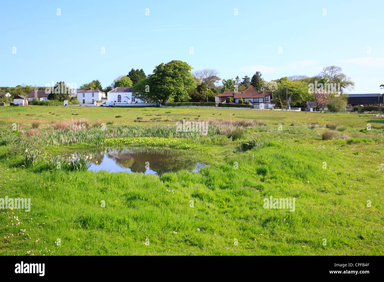 Village green with a pond. Burry Green, The Gower, Wales Stock Photo