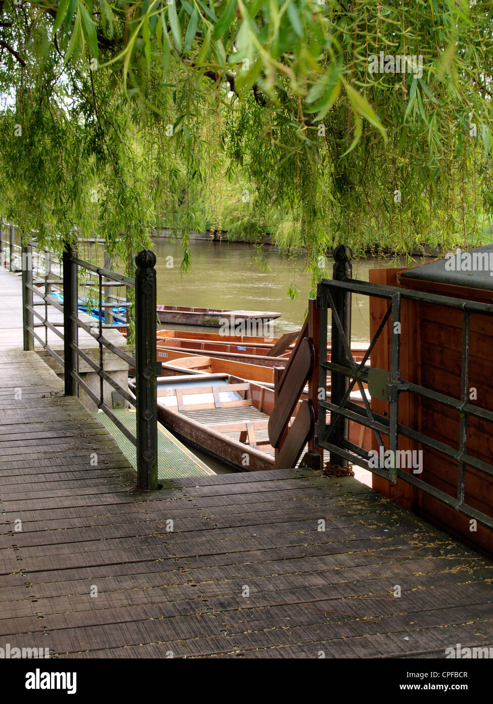 Down to the river, Punts River Cam, Cambridge, UK Stock Photo