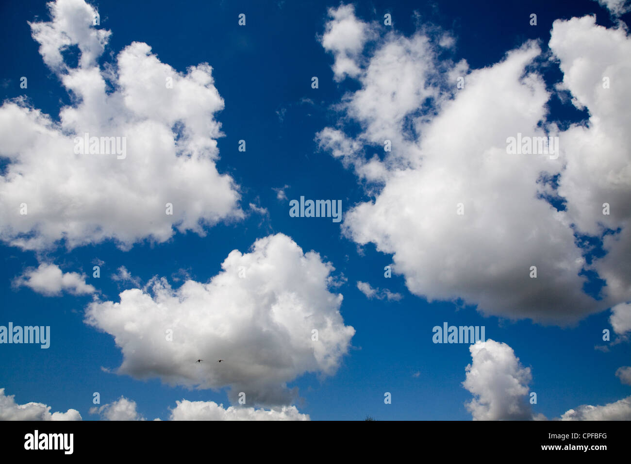 Fluffy white cumulus clouds blue sky Stock Photo