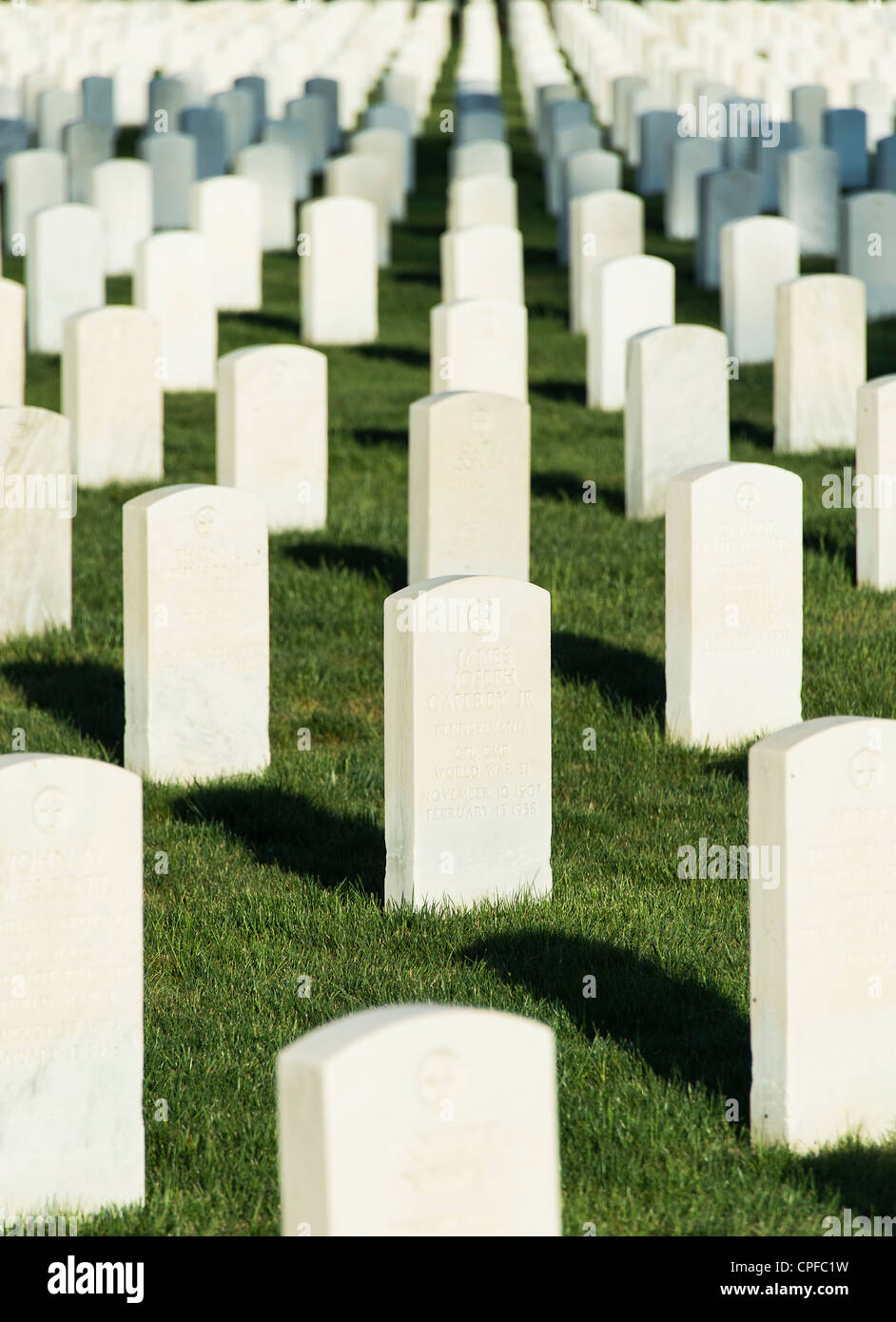 Military Cemetery Stock Photo