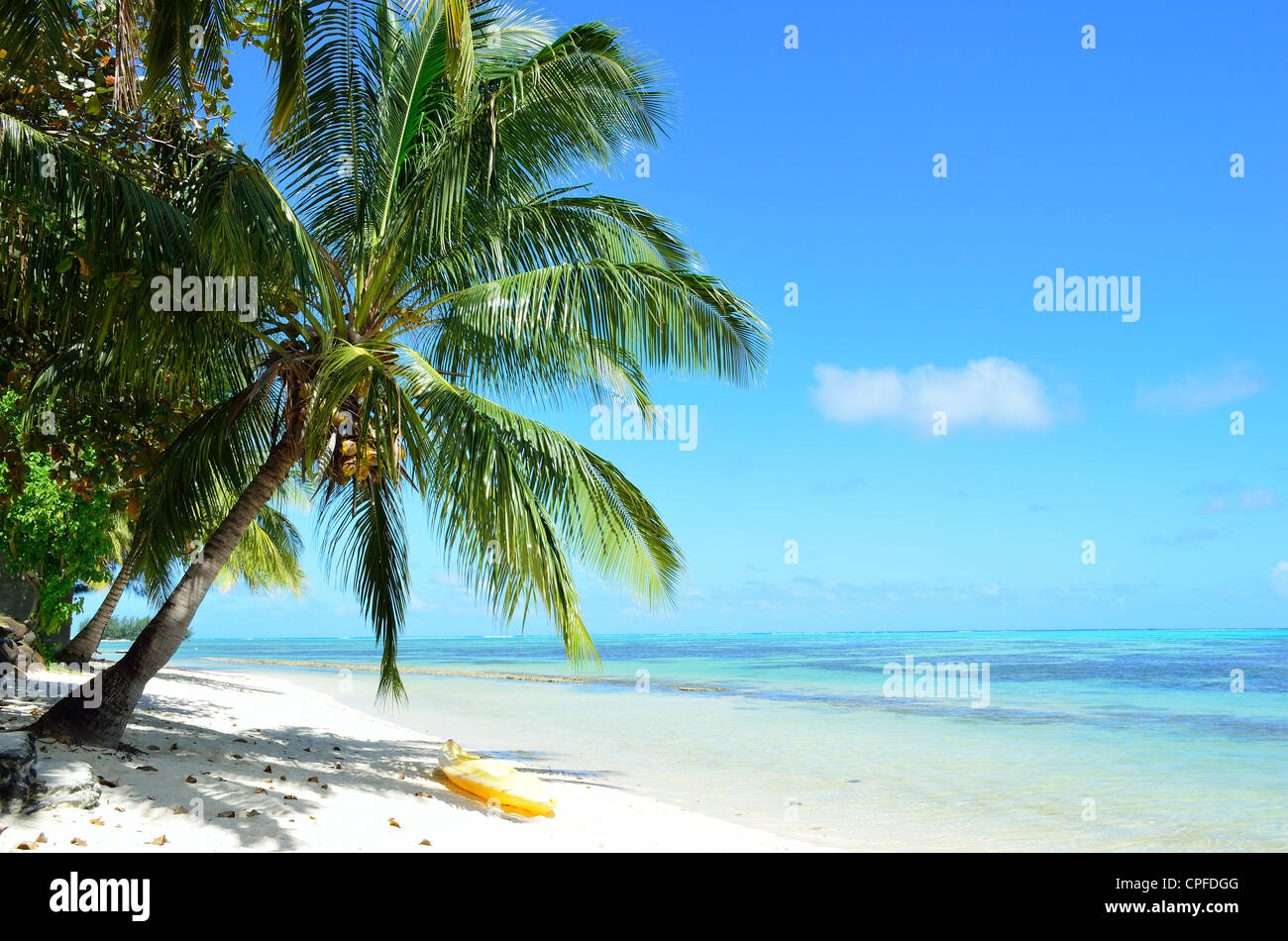 Watersport kayak under a palm tree on a tropical white sand beach with a blue sea on Moorea, an island near Tahiti. Stock Photo