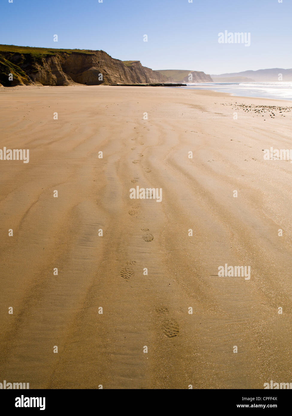 Footprints in the sand at Drake's beach. Point Reyes National Seashore, California. Stock Photo