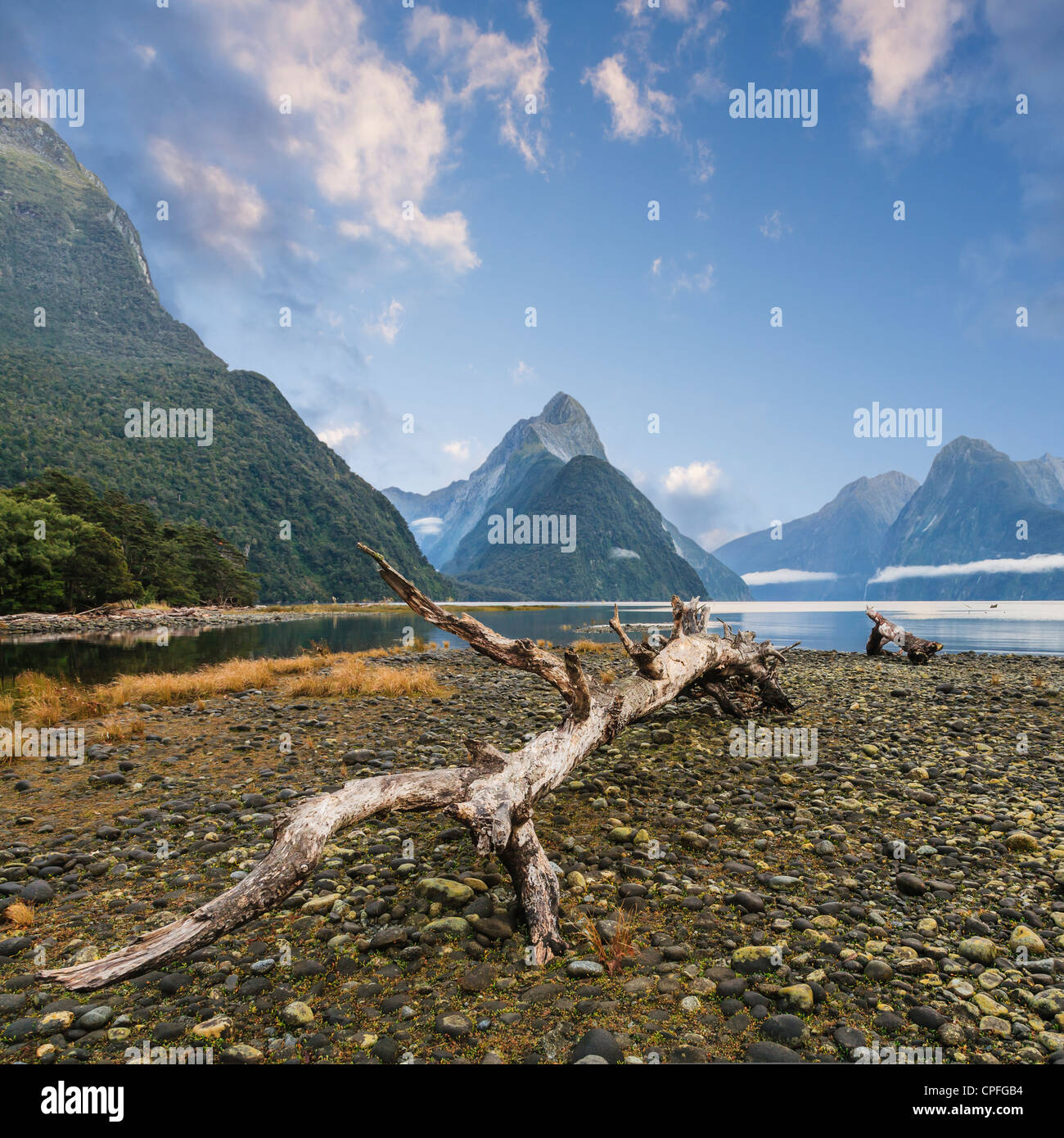 Early morning at Milford Sound, one of New Zealand's best known locations, known for its wild natural beauty. Stock Photo