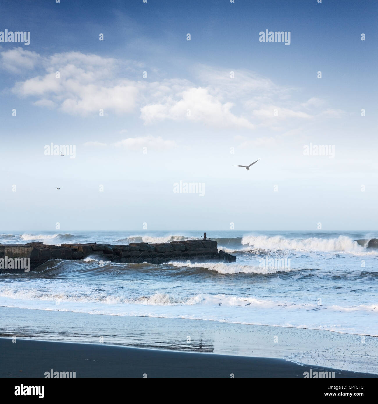 Wild sea and stormy sky with old jetty and seagulls in flight., Patea beach, Taranaki, New Zealand Stock Photo