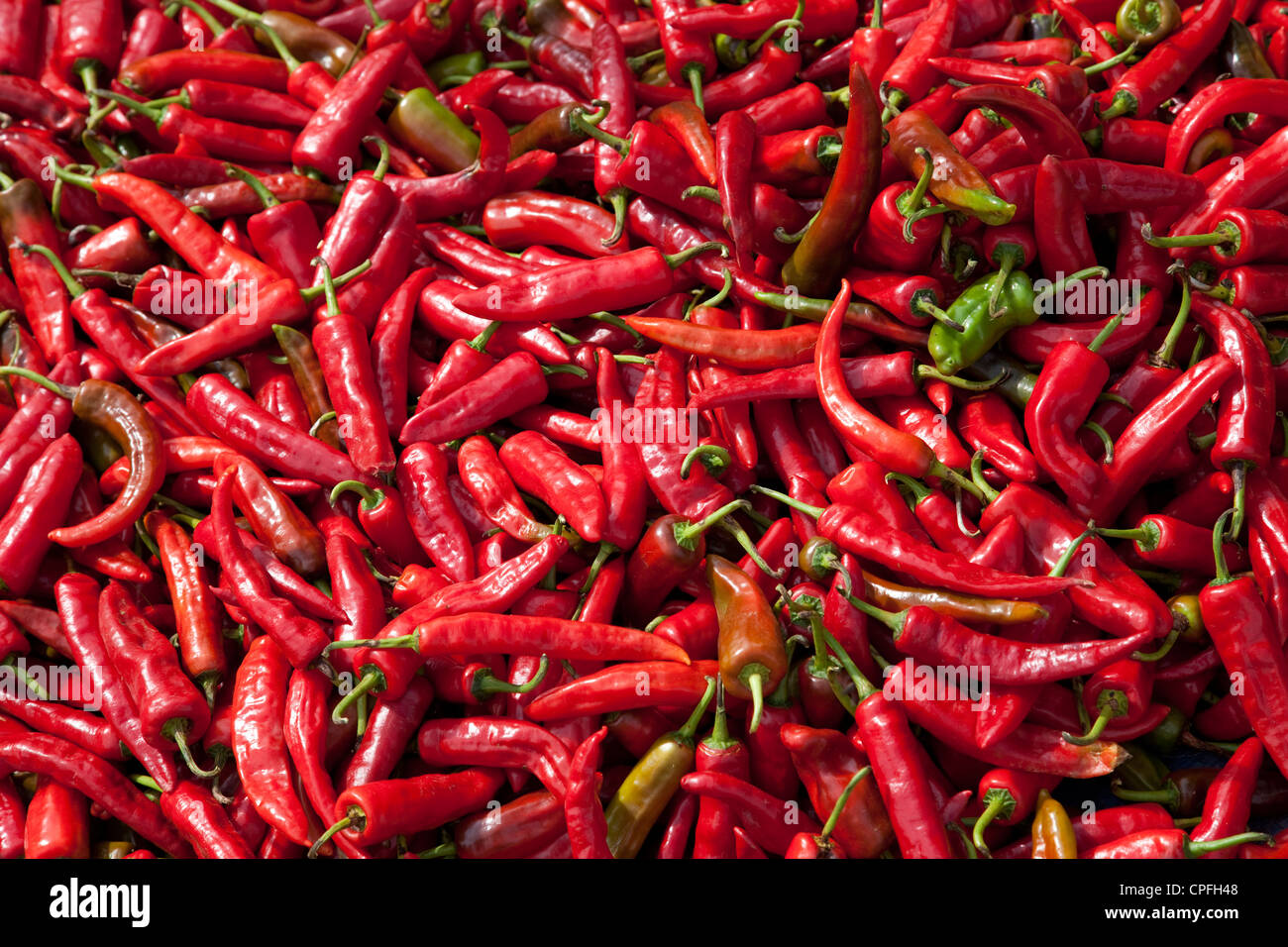 Red chili peppers for sale at the weekend market. Punakha, Bhutan. Stock Photo