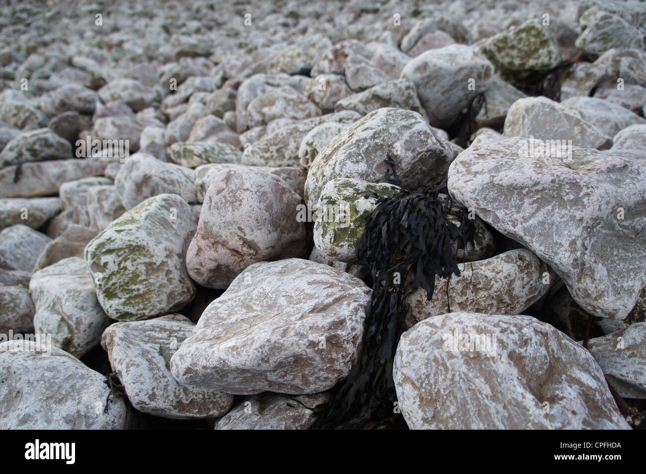 Grey rocks on the beach hi-res stock photography and images - Alamy