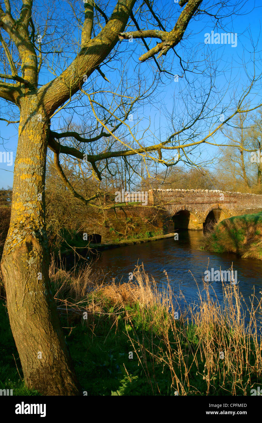 UK,Devon,Near Axminster,Broom Bridge & River Axe Stock Photo Alamy