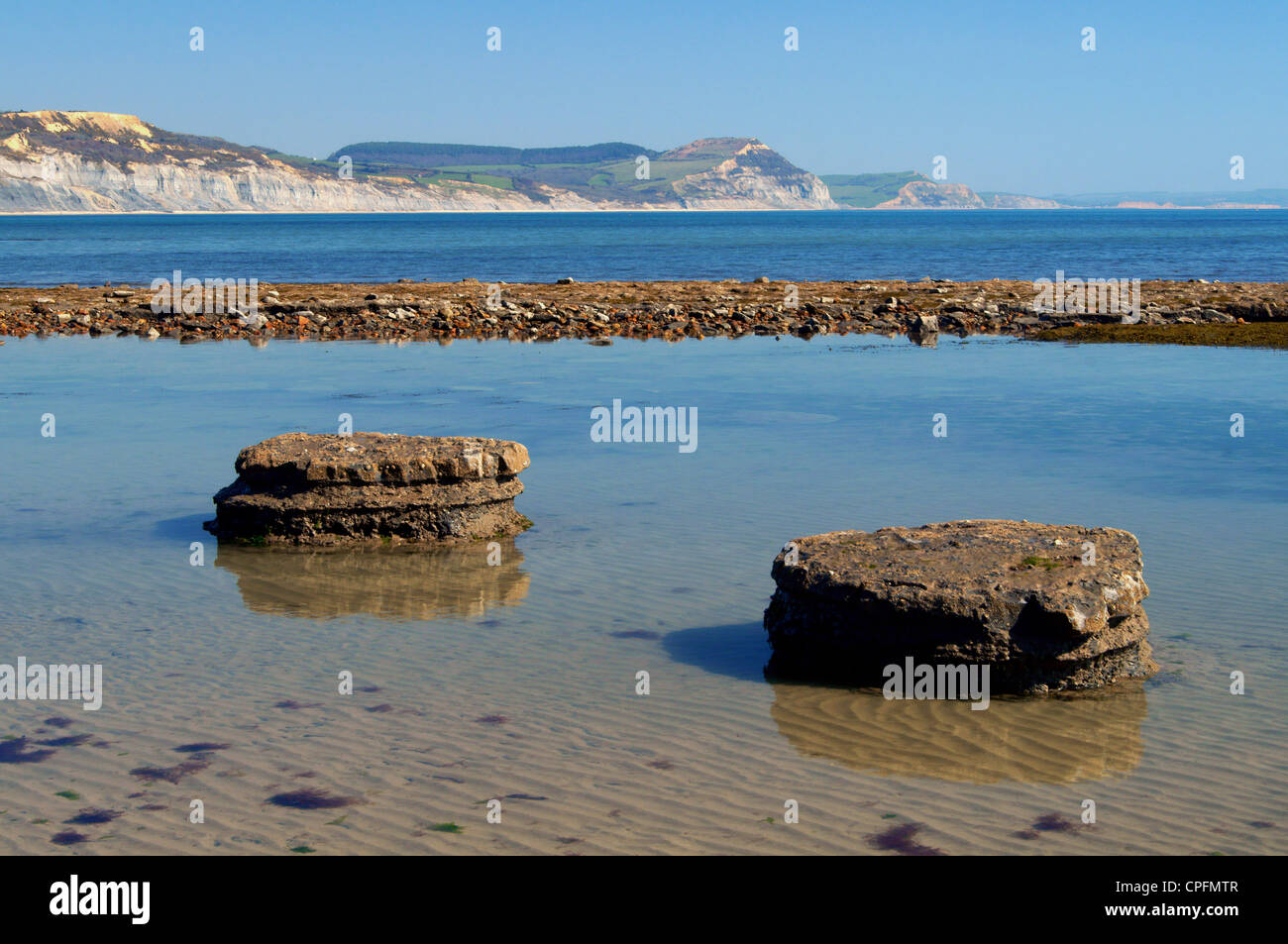 UK,Dorset,Lyme Bay,Beach between Lyme Regis & Charmouth,WaveCut