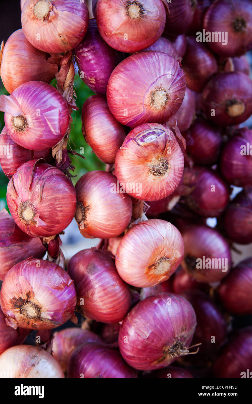 Onions in a market Stock Photo