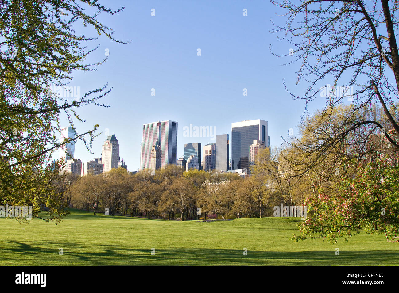 New York City Central Park spring morning with New York skyline. Stock Photo