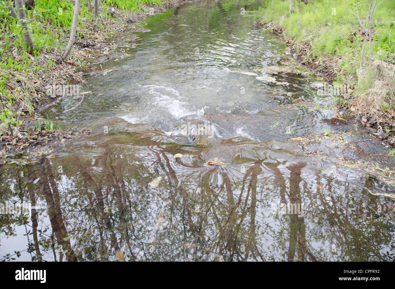 Dimpling Stream flowing stream in forest rippling over rocks Stock Photo - Alamy