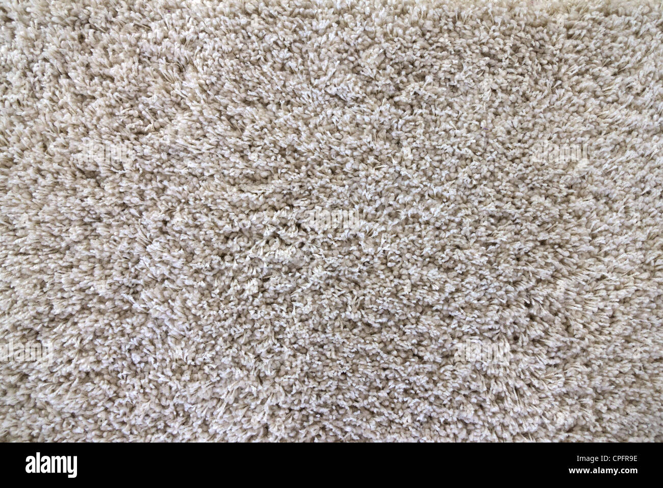 white pile carpet Stock Photo Alamy
