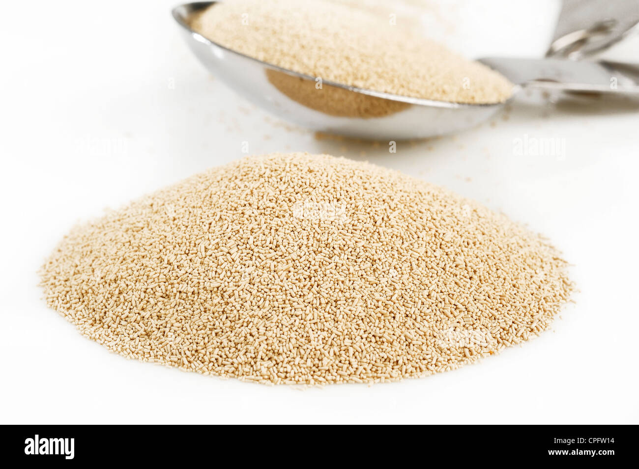 дрожжи поле. Dried yeast powder. дрожжевые грибы. дрожжевые грибы названия. дрожжевые грибы представители.