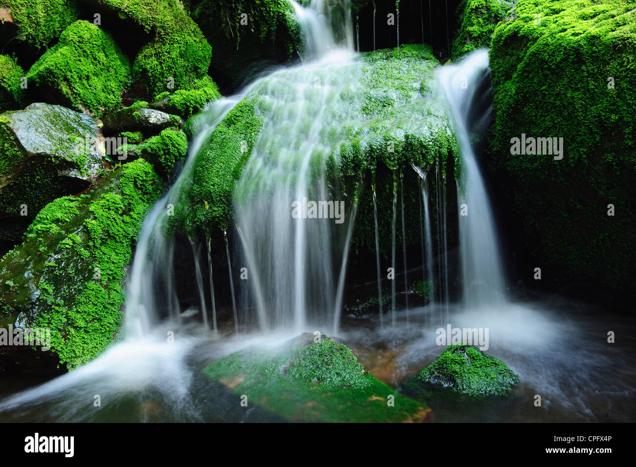 Cascade in Black Clough in the Forest of Bowland Lancashire England Stock Photo