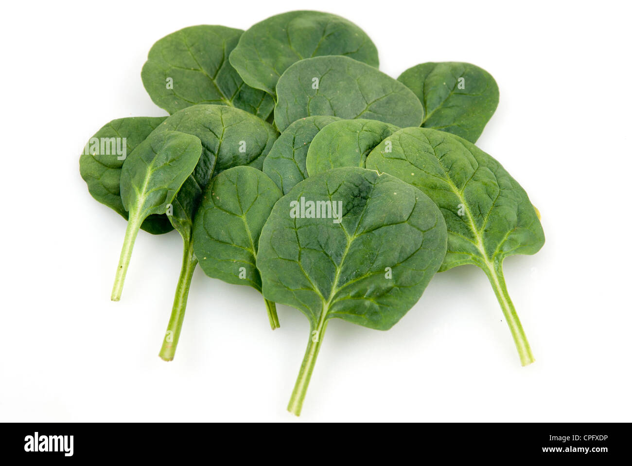 spinach leaves Stock Photo Alamy