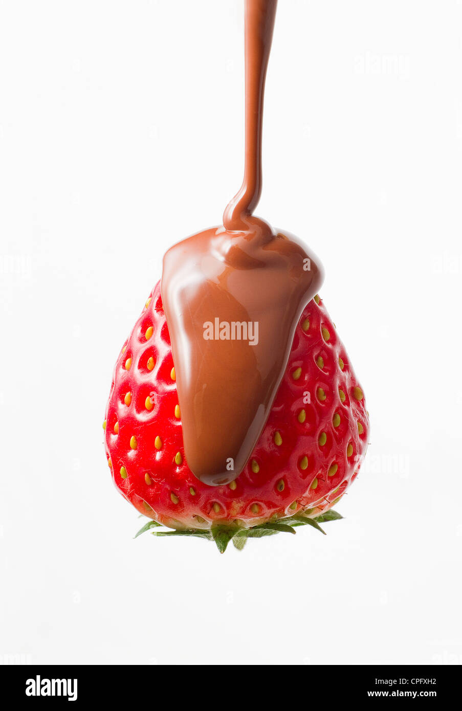 Chocolate Dropping On Strawberry With White Background In Behind Stock Photo
