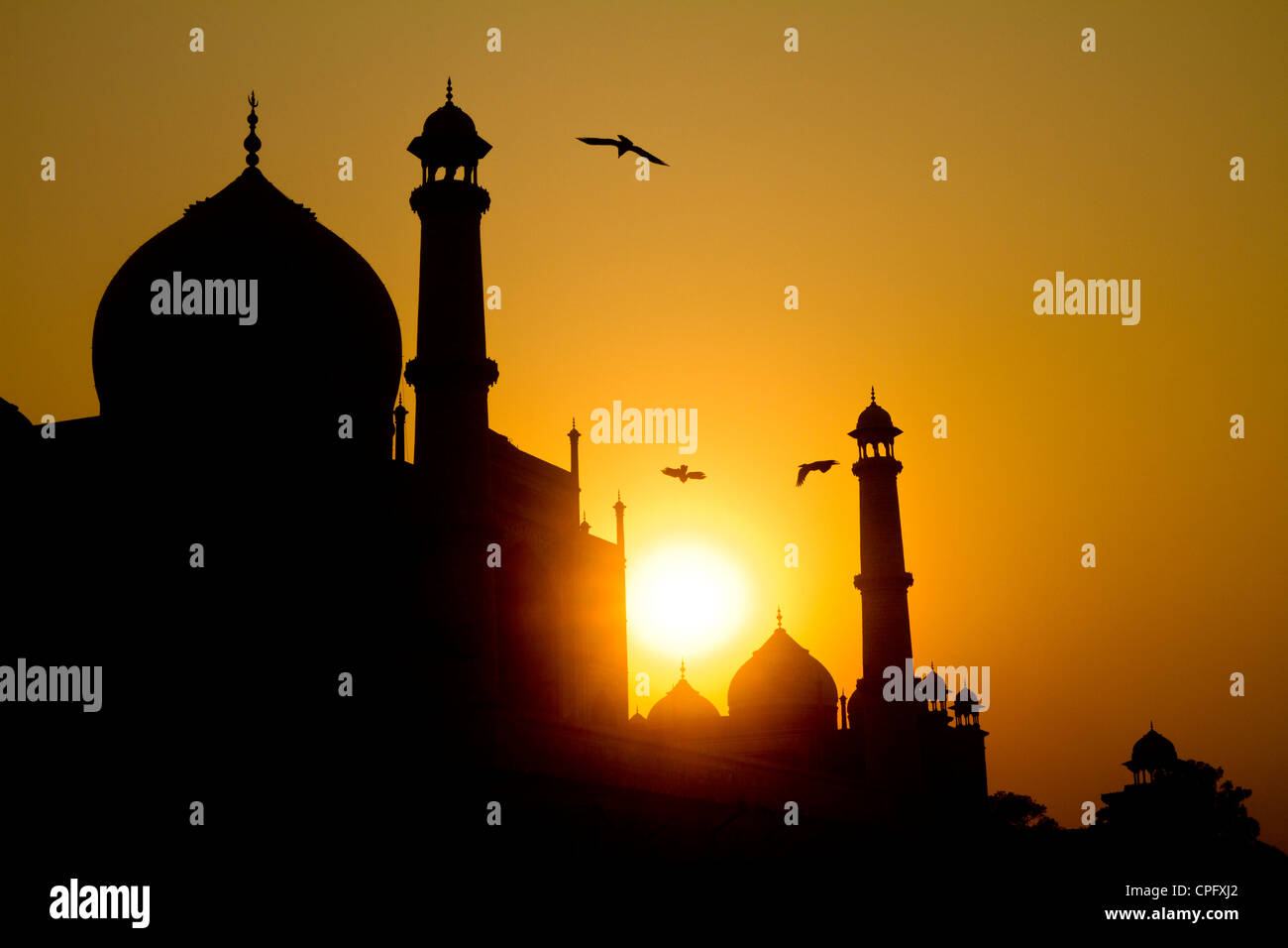 Sunset on the Taj Mahal, view from Yamuna river - Stock Image
