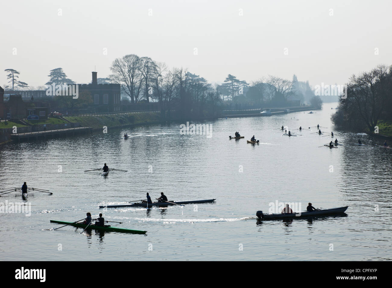 England, London, Surrey, Rowers on River Thames near Kingston Upon Thames Stock Photo