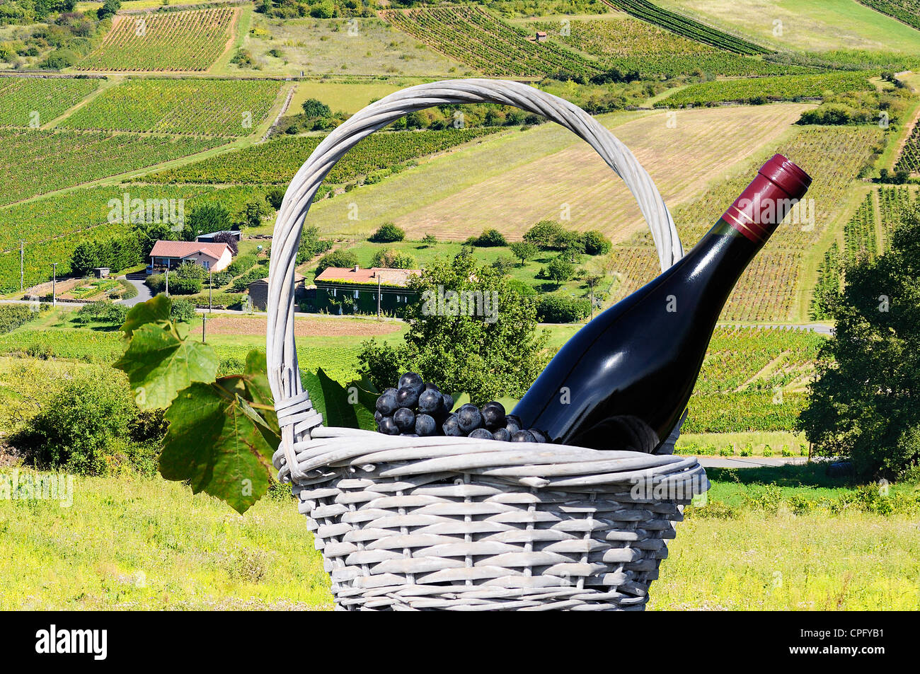 Bottle of red wine and vineyard zone hires stock photography and