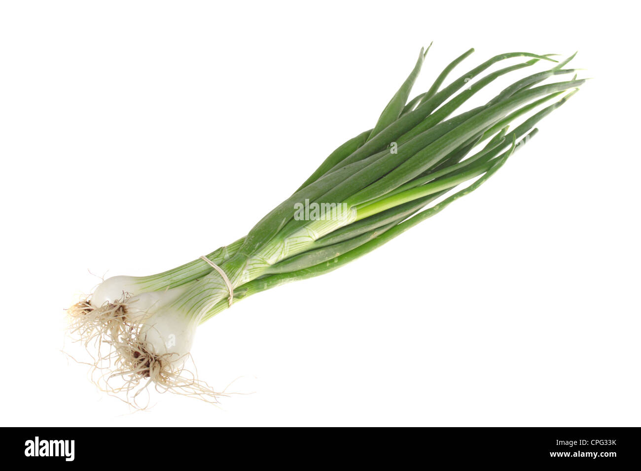 green onions photo on the white background Stock Photo - Alamy