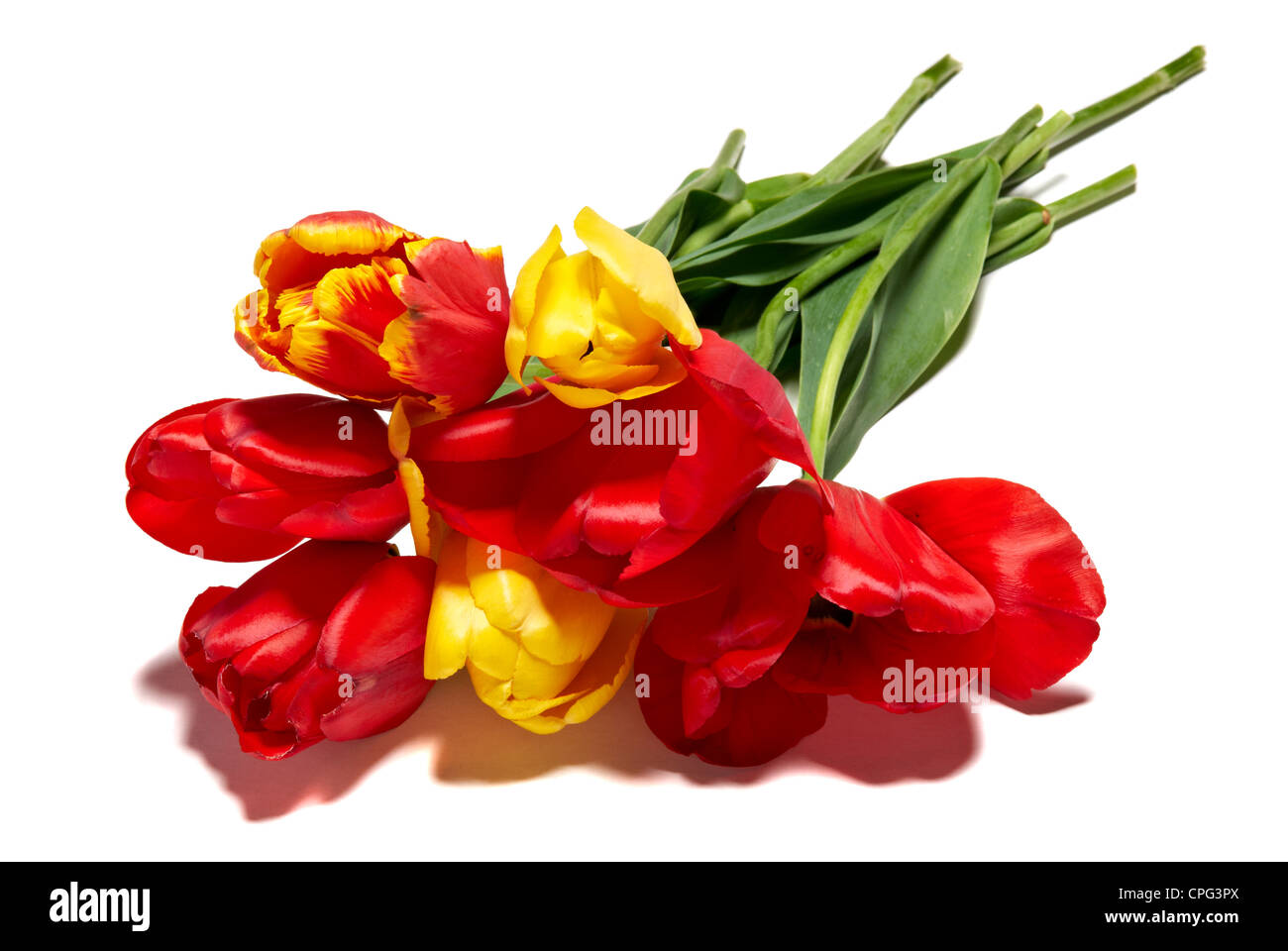 Single flower bouquet hi-res stock photography and images - Alamy