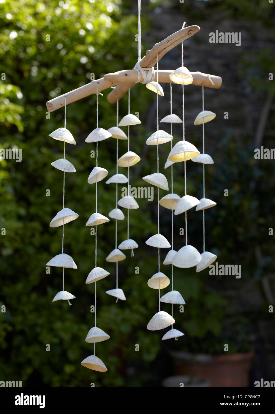 Mobile made out of driftwood, string and limpet shells Stock Photo