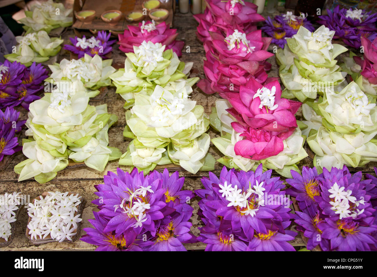 Lotus flowers used for offerings, Temple of the Tooth Relic or Sri Dalada Maligawa, Kandy Sri Lanka Stock Photo